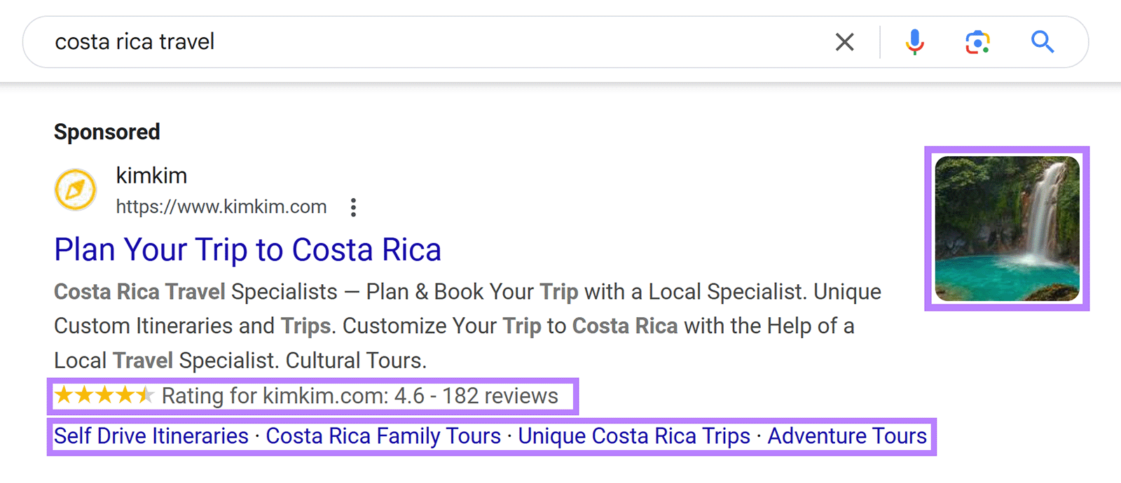 Ad assets highlighted for Sponsored result for 'cost rica travel' search