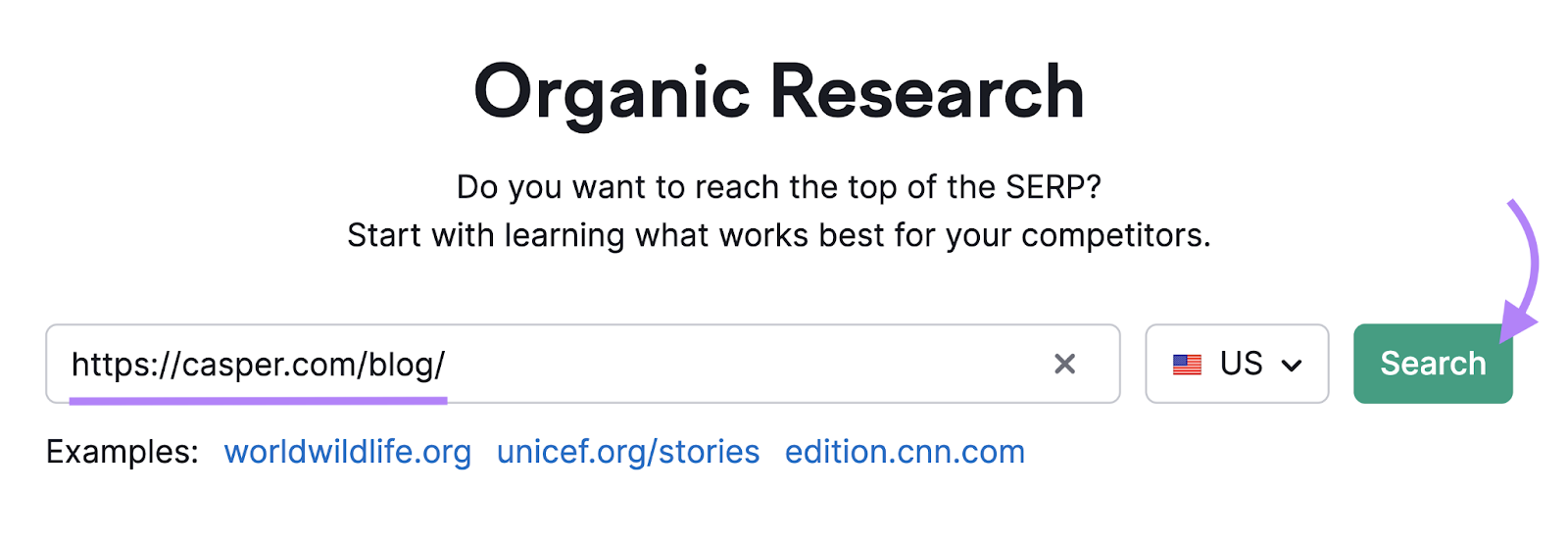 "https://casper.com/blog/" domain entered into the Organic Rankings tool search bar