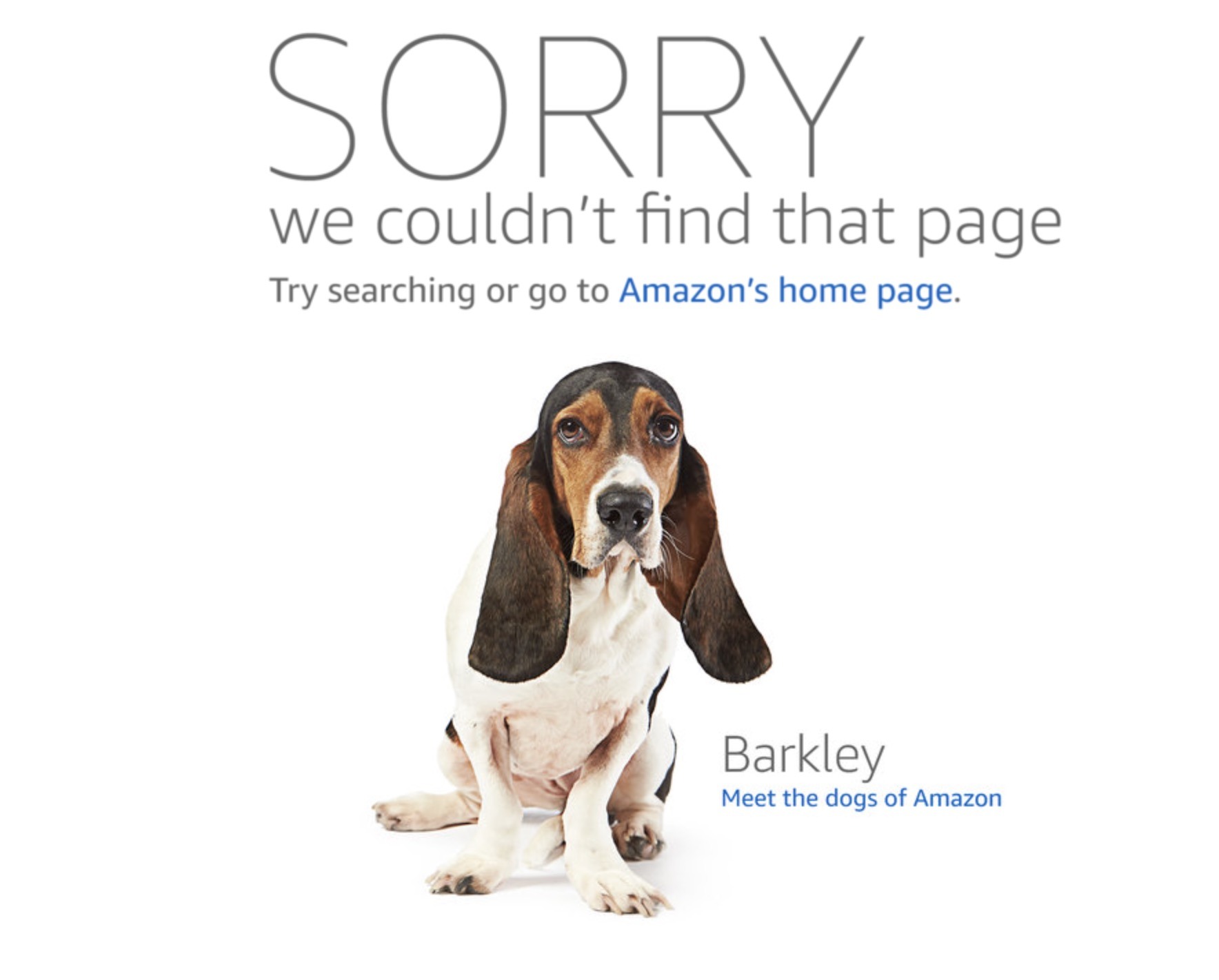 A browser window displaying a website 404 error page, on