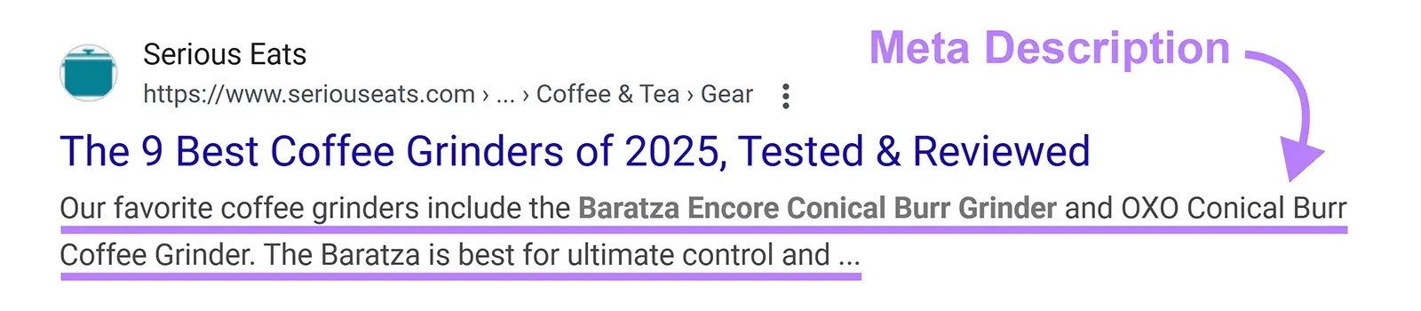 A SERP listing with the meta description highlighted.